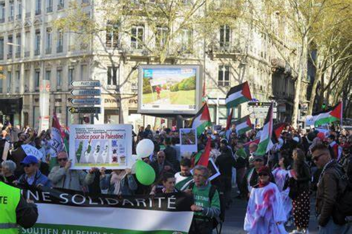 Des manifestants à Lyon se rassemblent pour soutenir Israël 
